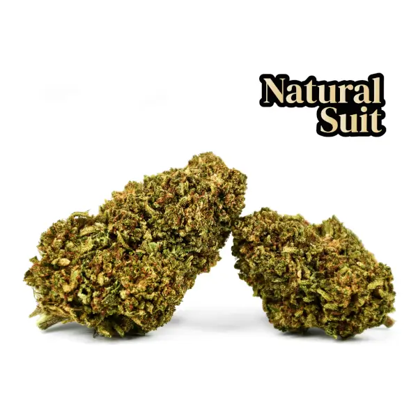 Flores de CBD Chanel XL Greenhouse 