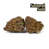Purple Queen CBD-Blumen im Freien