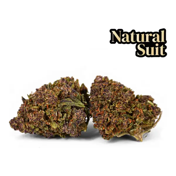 Purple Queen CBD-Blumen im Freien