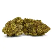 Greenhouse Banana Smash CBD-Blüten von Natural Suit