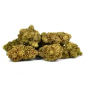 Greenhouse Banana Smash CBD-Blüten von Natural Suit