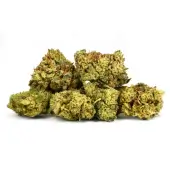Flores de CBD Amnesia Lemon Small Buds Indoor de Natural Suit
