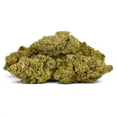Fleurs de CBD L.A. Kush Cake Indoor par Natural Suit