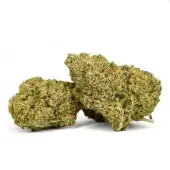 Fleurs de CBD L.A. Kush Cake Indoor par Natural Suit