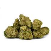 Fleurs de CBD Tropical Runtz Small Buds Indoor par Natural Suit