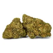 Fleurs de CBD White Widow Indoor par Natural Suit