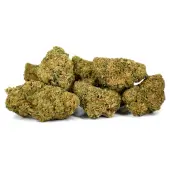 Fleurs de CBD White Widow Indoor par Natural Suit