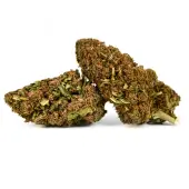 Fleurs de CBD AK-47 Outdoor Natural Suit