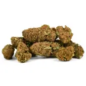 Fleurs de CBD AK-47 Outdoor Natural Suit