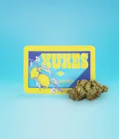 Fleurs de CBD Lemon Greenhouse