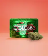 Flores de CBD Watermelon Greenhouse