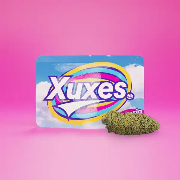 Flores de CBD Amnesia Greenhouse