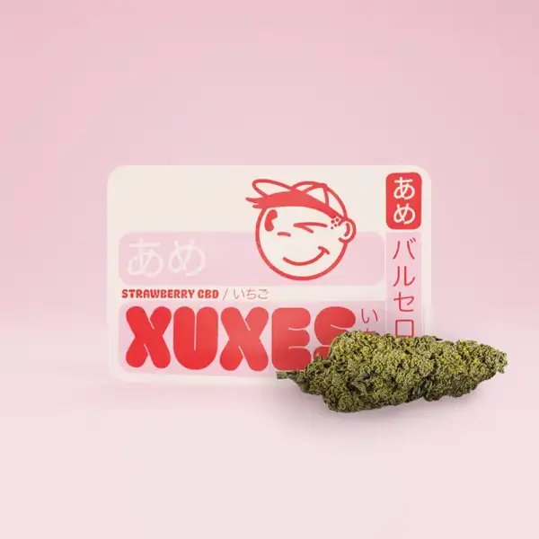 Fleurs de CBD Strawberry - Greenhouse