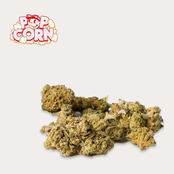 Popcorn Pink Kush CBD-Blüten Gewächshaus