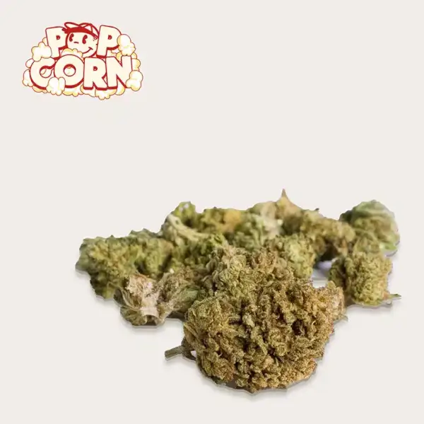 Popcorn CBD-Blüten, süße Mandarinen-Gewächshausblumen