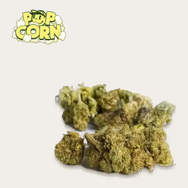 Fleurs de CBD Popcorn Green Sour - Greenhouse