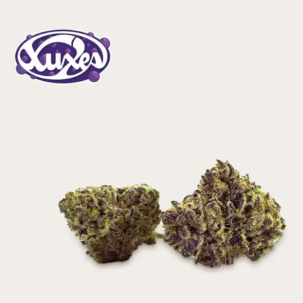Fleurs de CBD Purple Haze Indoor