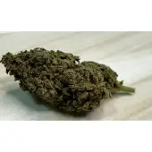 Fleurs de CBD Fruit Joy Greenhouse