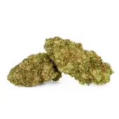 Fleurs de CBD White Melon Indoor