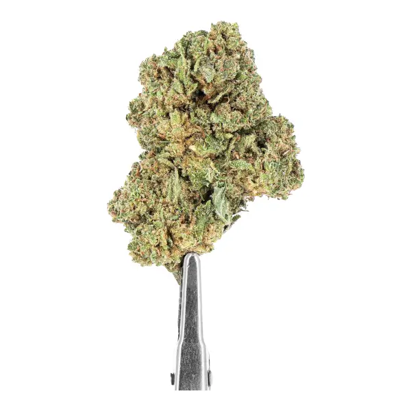 Flores de CBD Blue Dream Indoor