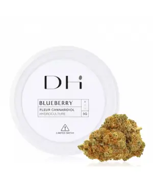 Fleurs de CBD hydro Blueberry