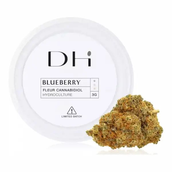 Blueberry CBD Hydro Flowers 