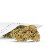 Fleurs de CBD hydro Runtz