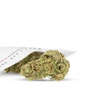 Zkittlez 2.0 Hydro CBD-Blumen