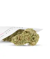 Fleurs de CBD Hydro Zkittlez 2.0