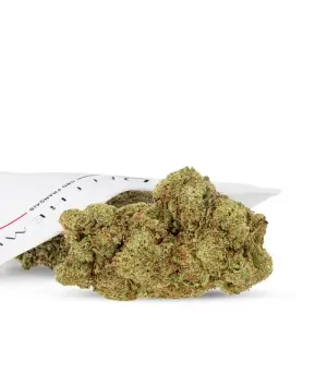 Lifter US CBD Flowers Hydro