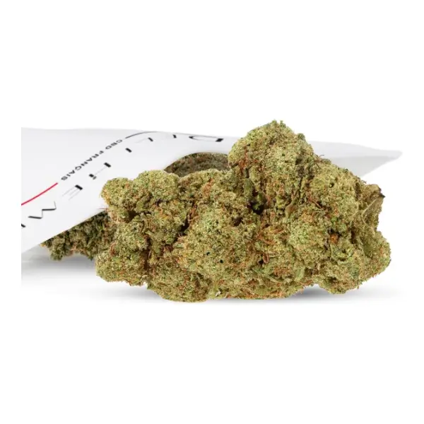 Lifter US CBD Flowers Hydro