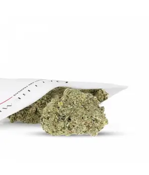 Northern Lights CBD Hydro Flowers 