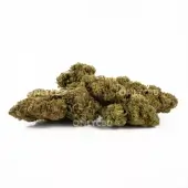 Fleurs de CBD Amnesia OG Greenhouse - Only CBD