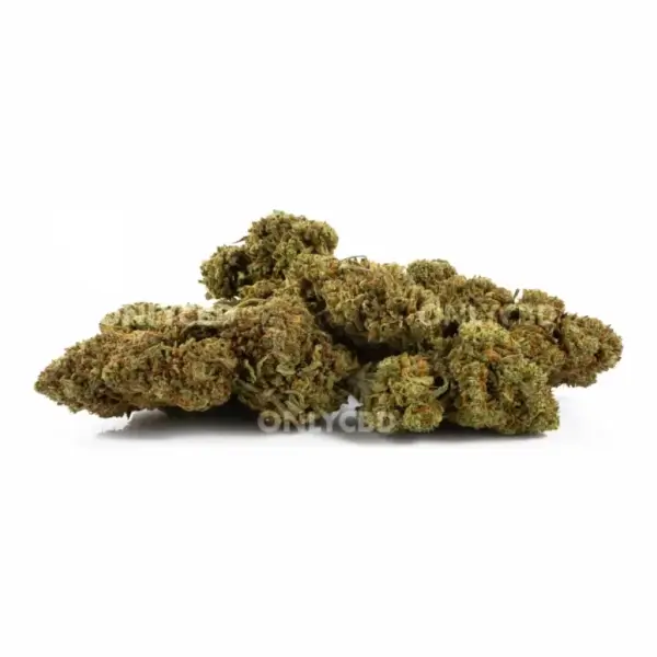 Fleurs de CBD Amnesia OG Greenhouse - Only CBD