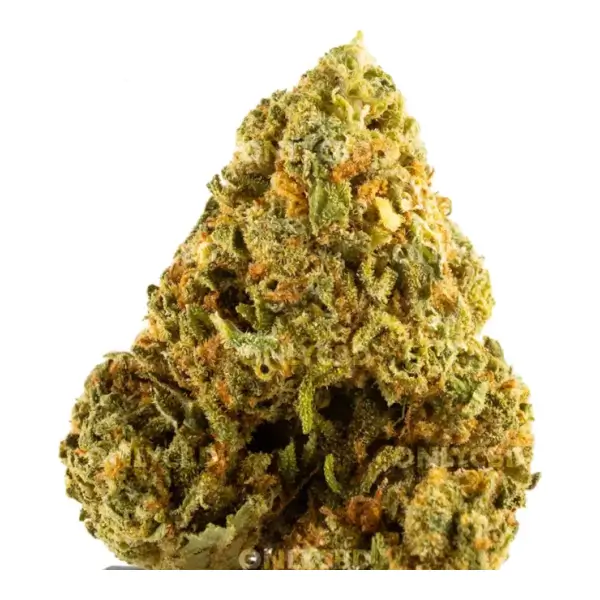 Flores de CBD Blue Cheese Greenhouse de Only CBD