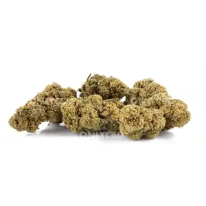 Fleurs de CBD Mango Haze Greenhouse - Only CBD