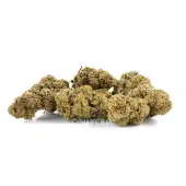 Fleurs de CBD Mango Haze Greenhouse - Only CBD