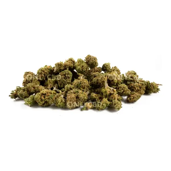 Mini Buds CBD Lil Box Greenhouse