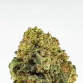 Golden Nuggets CBD Flowers