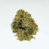 Golden Nuggets CBD Flowers