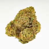 CBD Blüten Mini Brains