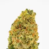 Fleurs de CBD Mini Brains