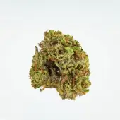 Mini Buds Tiny Gems CBD