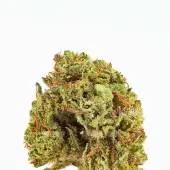 Mini Buds Tiny Gems CBD
