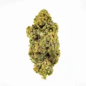 Amnesia OG CBD Blüten Greenhouse