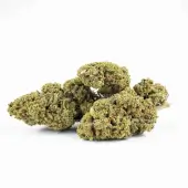 Fleurs de CBD Amnesia OG Greenhouse