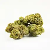 Fleurs de CBD Gelato 33 Greenhouse