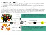 Horticultural lunar calendar