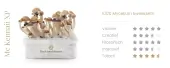 Kit de champignons magiques McKennaii - Freshmushrooms