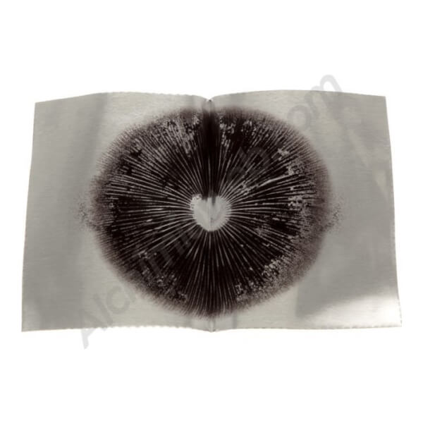 Koh Samui spores print